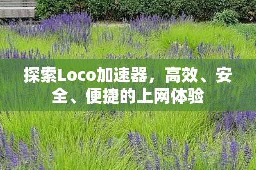 探索Loco加速器，高效、安全、便捷的上网体验