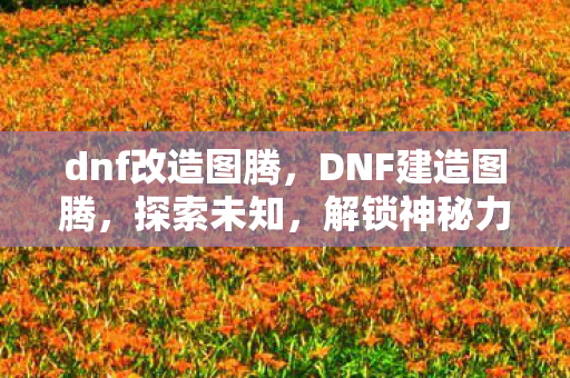 dnf改造图腾，DNF建造图腾，探索未知，解锁神秘力量