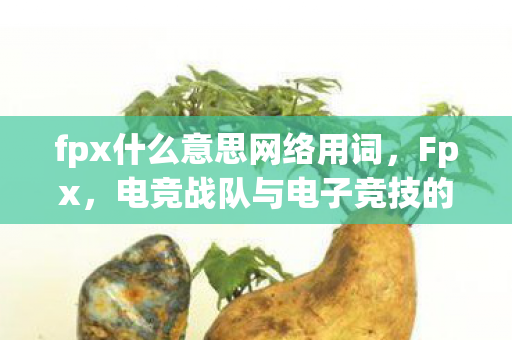 fpx什么意思网络用词，Fpx，电竞战队与电子竞技的激情碰撞