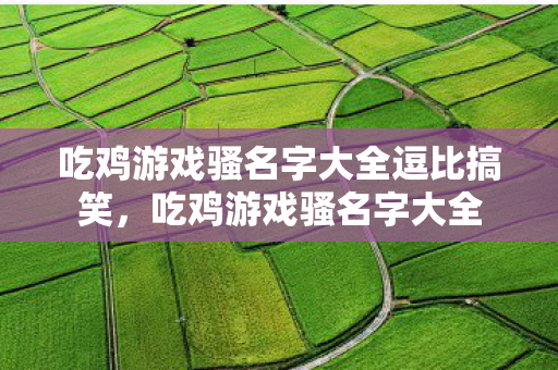 吃鸡游戏骚名字大全逗比搞笑，吃鸡游戏骚名字大全