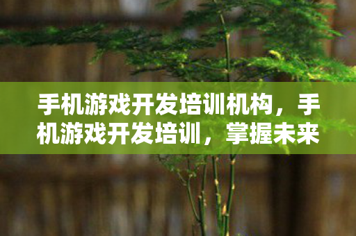 手机游戏开发培训机构，手机游戏开发培训，掌握未来娱乐产业的钥匙