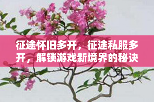 征途怀旧多开,征途私服多开,解锁游戏新境界的秘诀 征途怀旧多开,征途私服多开,解锁游戏新境界的秘诀