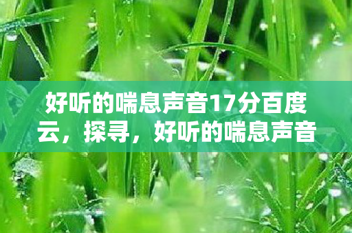 好听的喘息声音17分百度云，探寻，好听的喘息声音17分