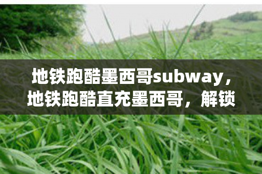 地铁跑酷墨西哥subway，地铁跑酷直充墨西哥，解锁新地图的冒险之旅