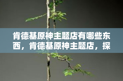 肯德基原神主题店有哪些东西，肯德基原神主题店，探索美食与游戏的奇妙融合