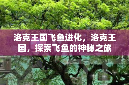 洛克王国飞鱼进化，洛克王国，探索飞鱼的神秘之旅