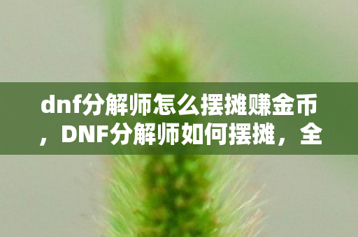 dnf分解师怎么摆摊赚金币,DNF分解师如何摆摊,全面指南 dnf分解师怎么摆摊赚金币,DNF分解师如何摆摊,全面指南
