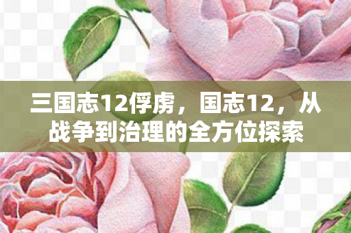 三国志12俘虏，国志12，从战争到治理的全方位探索