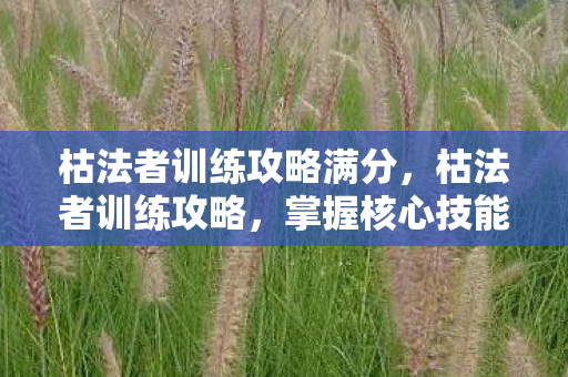 枯法者训练攻略满分，枯法者训练攻略，掌握核心技能，成为顶尖法师