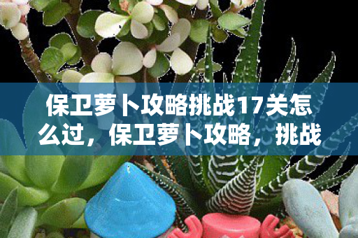 保卫萝卜攻略挑战17关怎么过，保卫萝卜攻略，挑战17的通关策略