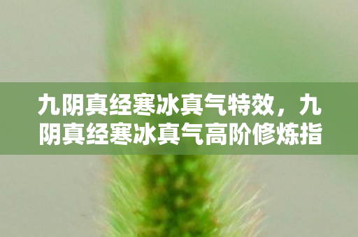 九阴真经寒冰真气特效，九阴真经寒冰真气高阶修炼指南