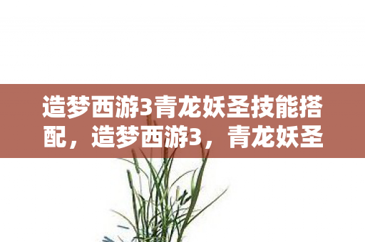 造梦西游3青龙妖圣技能搭配，造梦西游3，青龙妖圣的神秘传说