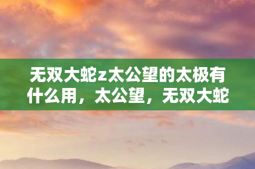 无双大蛇z太公望的太极有什么用,太公望,无双大蛇Z中的传奇智者 无双大蛇z太公望的太极有什么用,太公望,无双大蛇Z中的传奇智者