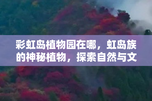 彩虹岛植物园在哪,虹岛族的神秘植物,探索自然与文化的奇妙交织 彩虹岛植物园在哪,虹岛族的神秘植物,探索自然与文化的奇妙交织