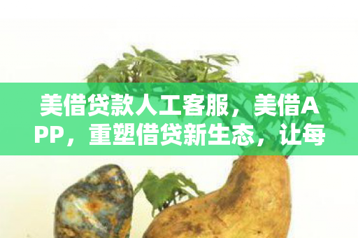 美借贷款人工客服，美借APP，重塑借贷新生态，让每一份信任都有回应