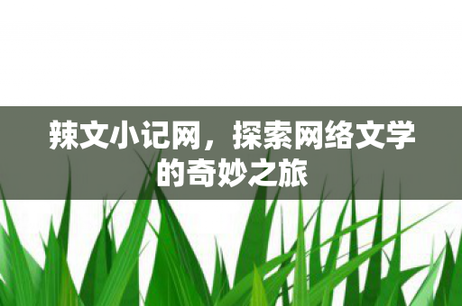 辣文小记网，探索网络文学的奇妙之旅