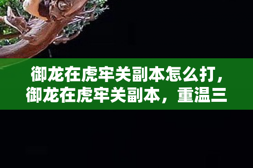 御龙在虎牢关副本怎么打，御龙在虎牢关副本，重温三国历史的传奇之旅