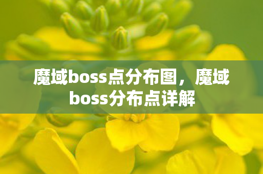 魔域boss点分布图,魔域boss分布点详解 魔域boss点分布图,魔域boss分布点详解