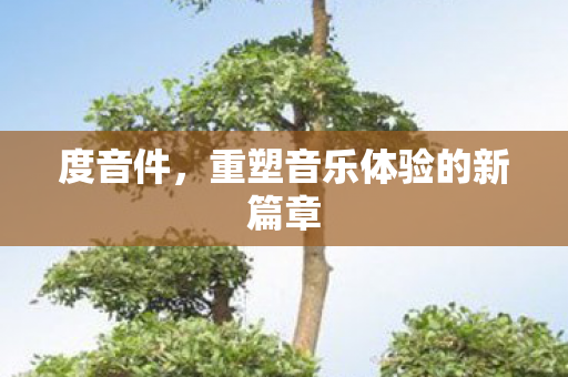 度音件,重塑音乐体验的新篇章 度音件,重塑音乐体验的新篇章