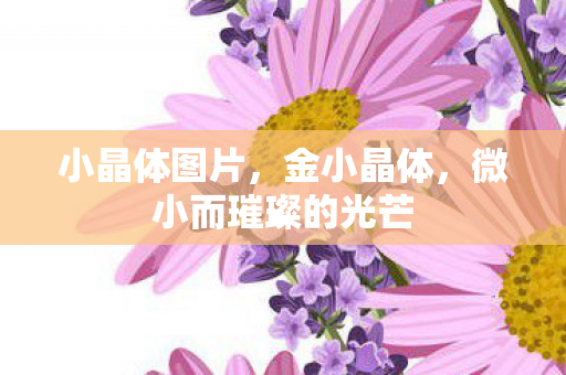 小晶体图片,金小晶体,微小而璀璨的光芒 小晶体图片,金小晶体,微小而璀璨的光芒