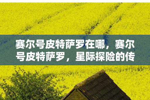 赛尔号皮特萨罗在哪，赛尔号皮特萨罗，星际探险的传奇英雄