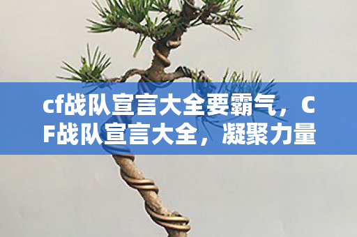 cf战队宣言大全要霸气，CF战队宣言大全，凝聚力量，共赴荣耀
