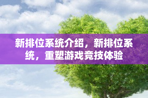 新排位系统介绍，新排位系统，重塑游戏竞技体验
