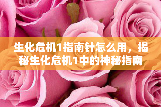 生化危机1指南针怎么用，揭秘生化危机1中的神秘指南针，背后的故事与隐藏意义