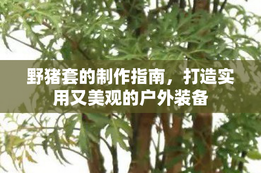 野猪套的制作指南，打造实用又美观的户外装备