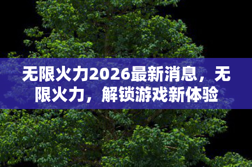 无限火力2026最新消息，无限火力，解锁游戏新体验