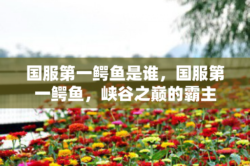 国服第一鳄鱼是谁，国服第一鳄鱼，峡谷之巅的霸主