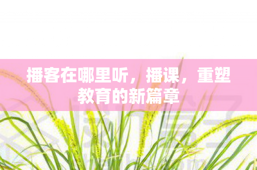 播客在哪里听，播课，重塑教育的新篇章