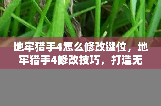 地牢猎手4怎么修改键位，地牢猎手4修改技巧，打造无敌角色攻略