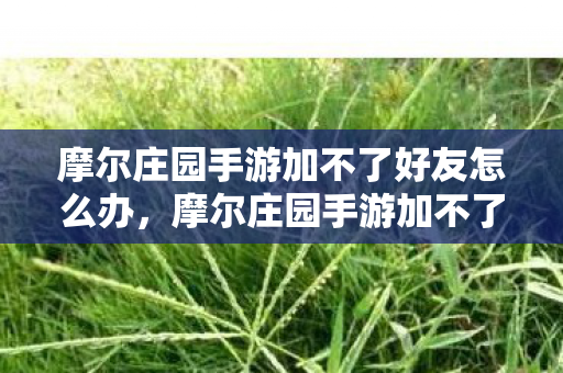 摩尔庄园手游加不了好友怎么办，摩尔庄园手游加不了好友怎么办？