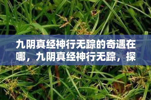 九阴真经神行无踪的奇遇在哪，九阴真经神行无踪，探寻武侠世界的神秘步伐