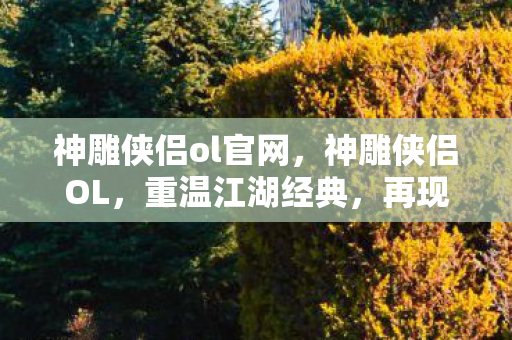 神雕侠侣ol官网，神雕侠侣OL，重温江湖经典，再现英雄传奇