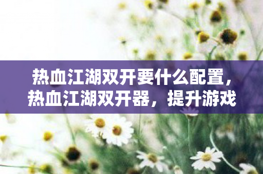 热血江湖双开要什么配置,热血江湖双开器,提升游戏效率与乐趣的利器 热血江湖双开要什么配置,热血江湖双开器,提升游戏效率与乐趣的利器