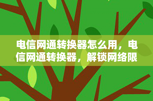 电信网通转换器怎么用，电信网通转换器，解锁网络限制，提升网络体验
