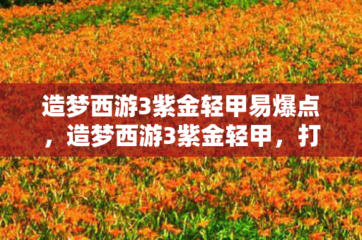 造梦西游3紫金轻甲易爆点，造梦西游3紫金轻甲，打造最强防御的传奇之旅