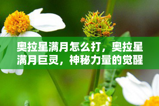 奥拉星满月怎么打，奥拉星满月巨灵，神秘力量的觉醒
