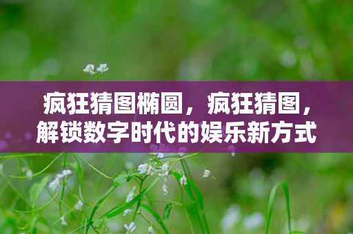 疯狂猜图椭圆，疯狂猜图，解锁数字时代的娱乐新方式