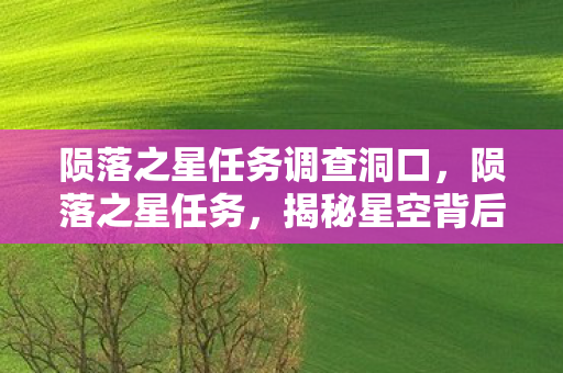 陨落之星任务调查洞口，陨落之星任务，揭秘星空背后的秘密传奇