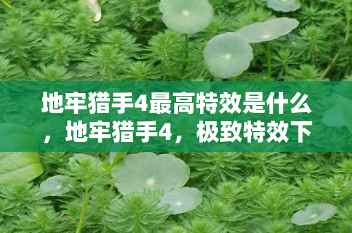 地牢猎手4最高特效是什么，地牢猎手4，极致特效下的冒险之旅