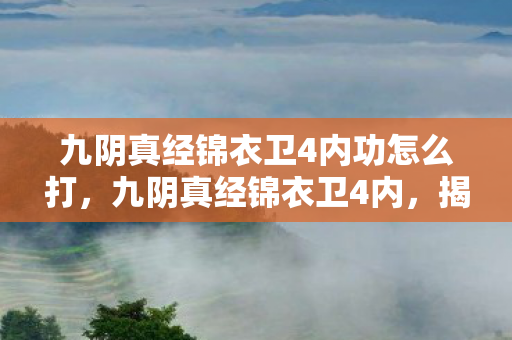 九阴真经锦衣卫4内功怎么打，九阴真经锦衣卫4内，揭秘武林绝学的深层奥秘