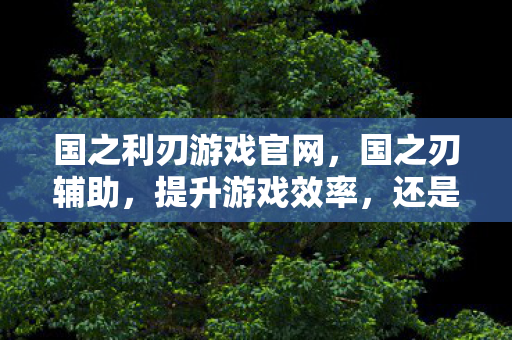 国之利刃游戏官网，国之刃辅助，提升游戏效率，还是破坏游戏平衡？