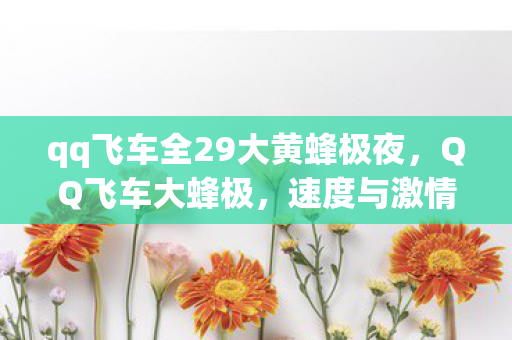 qq飞车全29大黄蜂极夜，QQ飞车大蜂极，速度与激情的极致体验