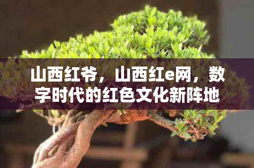 山西红爷，山西红e网，数字时代的红色文化新阵地