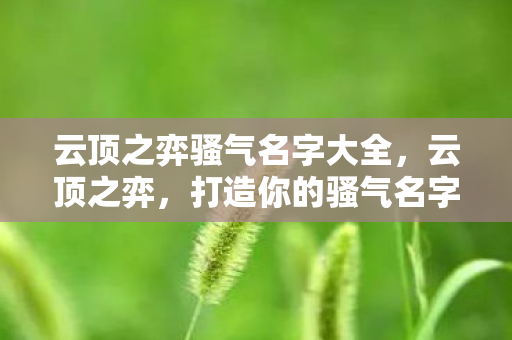 云顶之弈骚气名字大全，云顶之弈，打造你的骚气名字