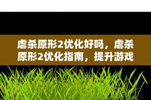 虐杀原形2优化好吗，虐杀原形2优化指南，提升游戏体验的终极秘籍