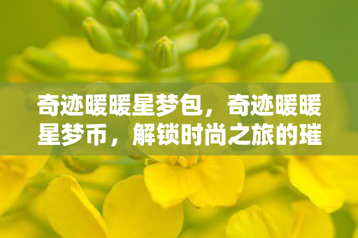 奇迹暖暖星梦包，奇迹暖暖星梦币，解锁时尚之旅的璀璨密钥
